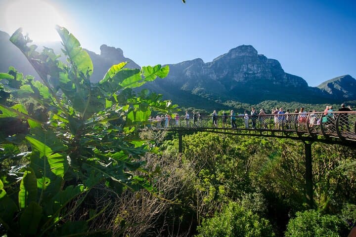 Full-Day Private Cape Town City Tour and Kirstenbosch Gardens