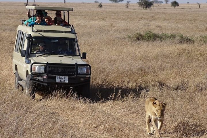 3-Day Maasai Mara Safari in a 4x4 Land Cruiser Jeep — Small-Group Wildlife Adventure photo 4
