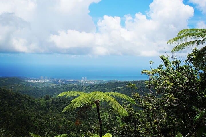El Yunque Rainforest and Luquillo Beach Day Tour from San Juan photo 2
