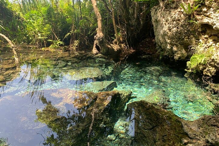 Explore Puerto Rico's North Coast: Private Hidden Beach Hike & Cave Swim photo 5