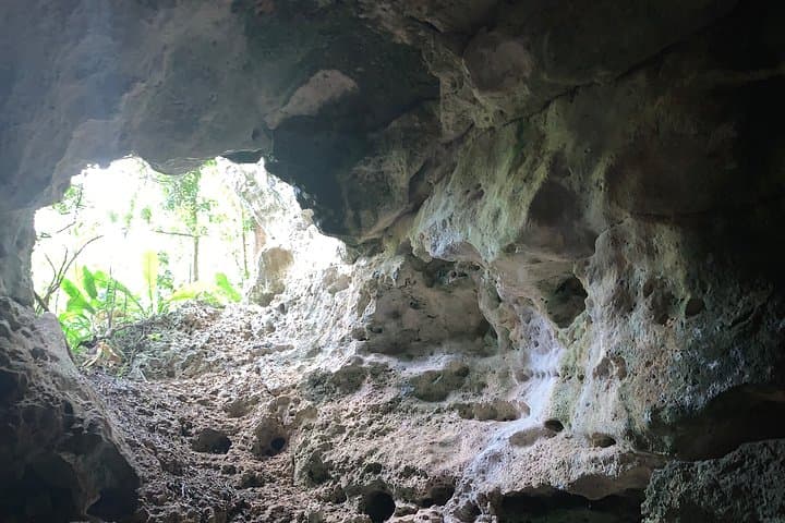 Explore Puerto Rico's North Coast: Private Hidden Beach Hike & Cave Swim photo 3
