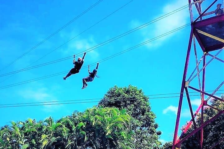 Canopy Zipline Half-Day Tour from Luquillo — Rainforest Flight with Pickup
