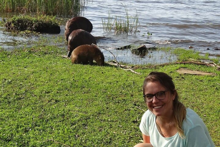 Iberá Marshlands to Iguazú Falls: 5-Day Wetlands, Wildlife & Waterfalls Tour photo 6