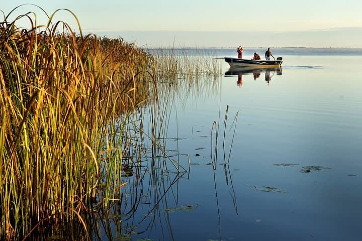 Iberá Marshlands to Iguazú Falls: 5-Day Wetlands, Wildlife & Waterfalls Tour photo 3