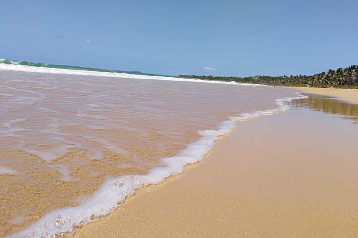 El Yunque Rainforest and Luquillo Beach Day Tour from San Juan photo 6