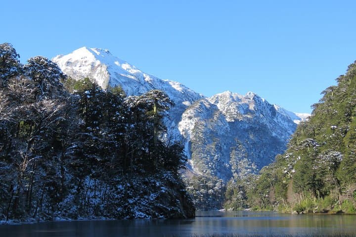 Trekking Huerquehue: Day Hike Through Araucaria Forests and Mountain Lagoons photo 2
