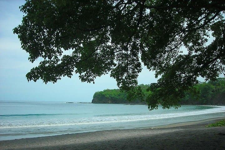 Private One-Way Transfer from San José Airport to Tamarindo — Comfortable Minivan (Up to 5) photo 1