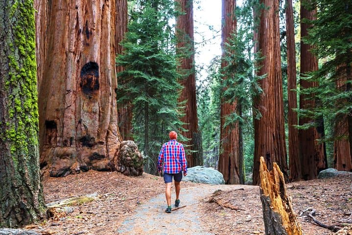 Yosemite and Tahoe from San Francisco: 4-Day Sierra Nevada Tour photo 4