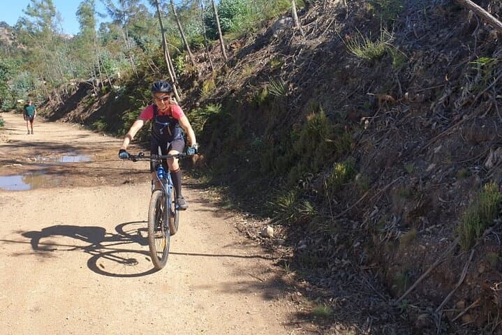 Valongo Mountain Half-Day MTB Tour from Porto — Hard Trails & Summit Views photo 5