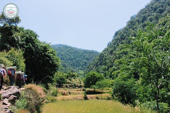 Nag Tibba Trek: 3,022m Two‑Night Himalayan Trek from Mussoorie photo 5