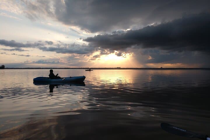 Paddle with Manatees and Dolphins: Guided Kayak Tour in Cocoa Beach photo 6