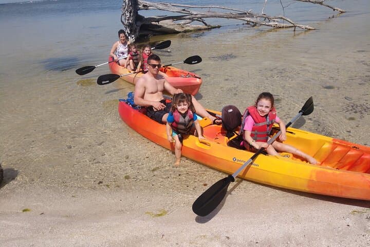 2-Hour Single Kayak Rental on the Indian River Lagoon — Manatee & Dolphin Sightings photo 2