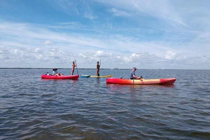 2-Hour Single Kayak Rental on the Indian River Lagoon — Manatee & Dolphin Sightings photo 3