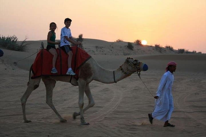 Private Morning Dubai Desert Safari: 5-Person Dune Bashing & Camel Experience photo 6