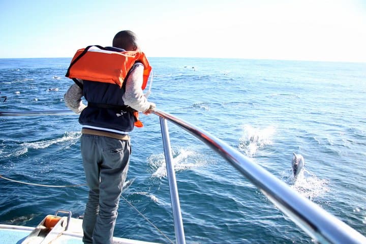 2-Hour Whale Watching from Gansbaai: Southern Right Whales & Coastal Wildlife photo 6