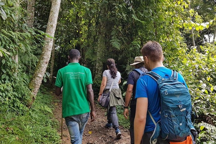 Nyungwe Canopy Walk and Lake Kivu 3-Day Adventure from Kigali photo 4