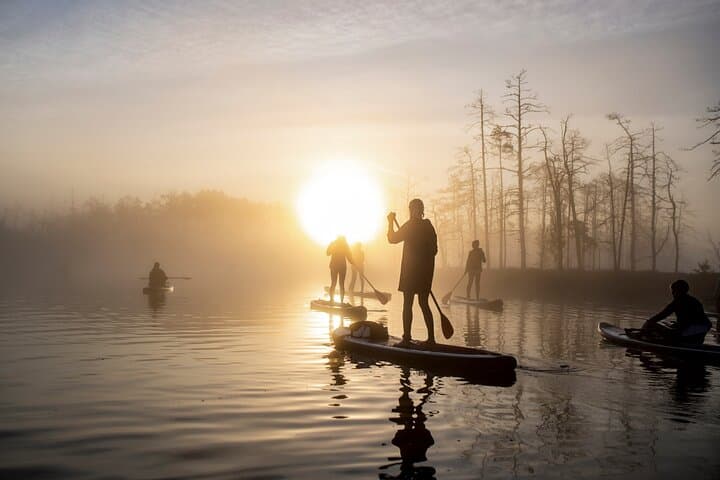 Sunrise and Sunset SUP & Kayak Bog Adventure from Riga photo 3