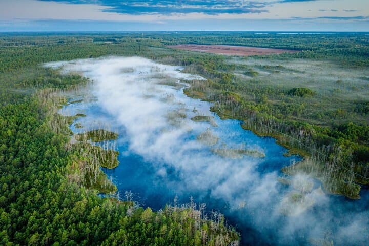 Sunrise and Sunset SUP & Kayak Bog Adventure from Riga photo 6