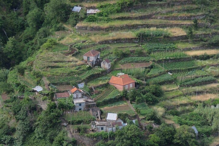 Full-Day Porto Moniz 4x4: Levadas, Volcanic Pools & Fanal Forest photo 6