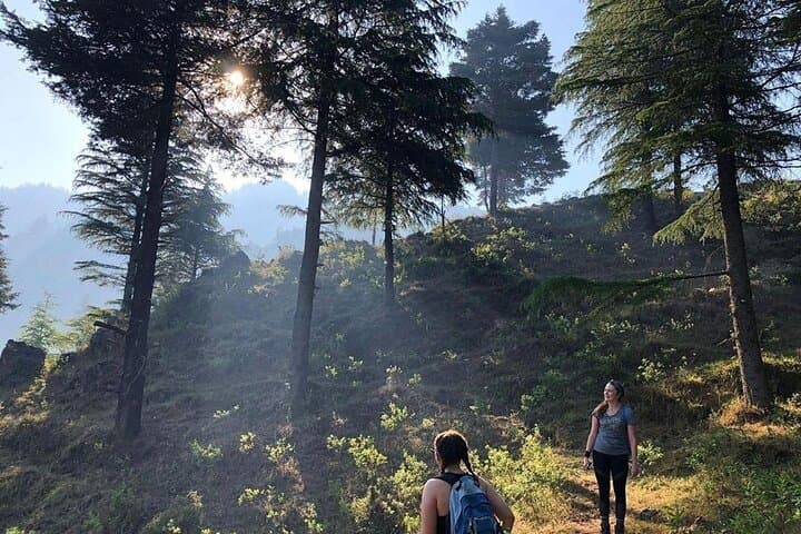 Top Tibba Day Hike: 8,500 ft Panoramic Trek Near Mussoorie photo 6