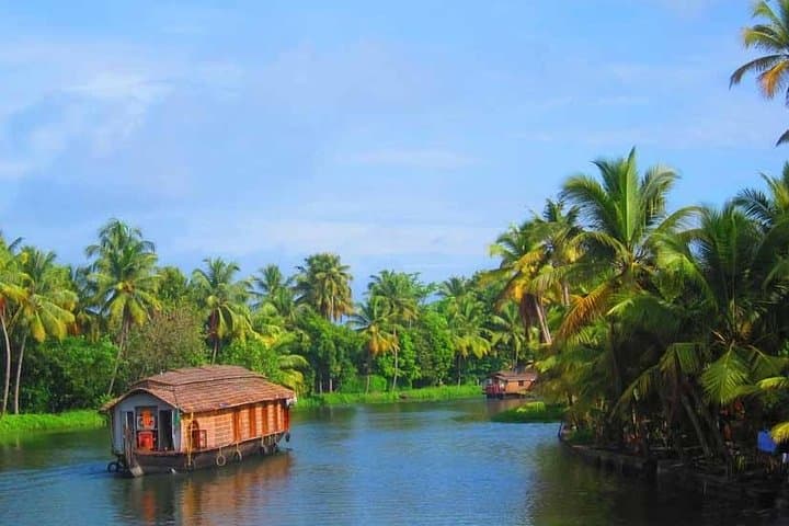 Kerala Backwaters Day Cruise with South Indian Lunch and Private Transfer photo 5