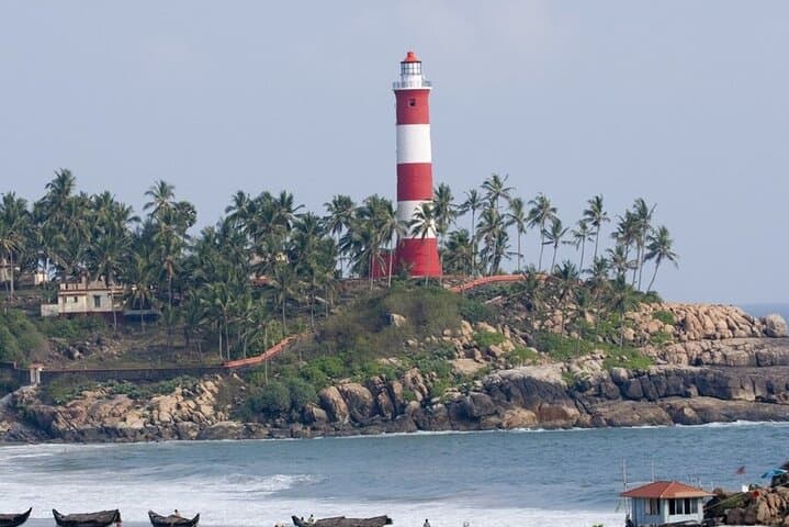 Kerala Backwaters Day Cruise with South Indian Lunch and Private Transfer photo 6