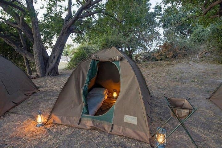 3-Day Chobe Safari From Victoria Falls: Boat Cruises, Game Drives & Camping photo 2