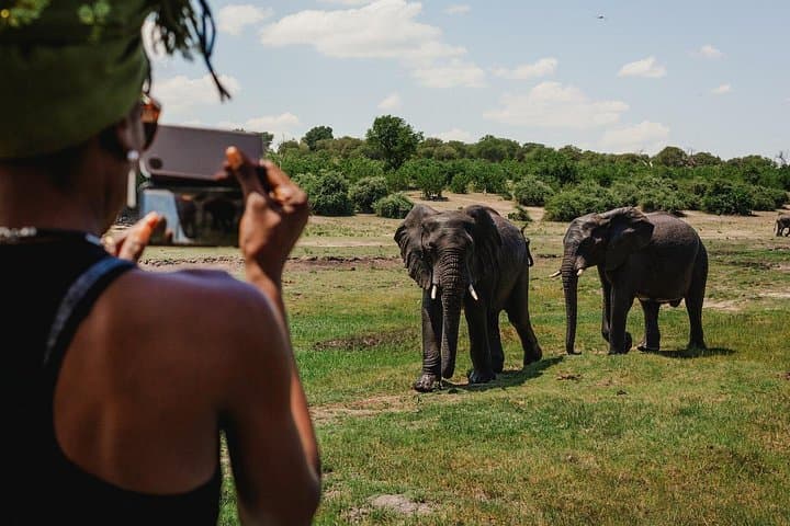 3-Day Chobe Safari From Victoria Falls: Boat Cruises, Game Drives & Camping photo 3