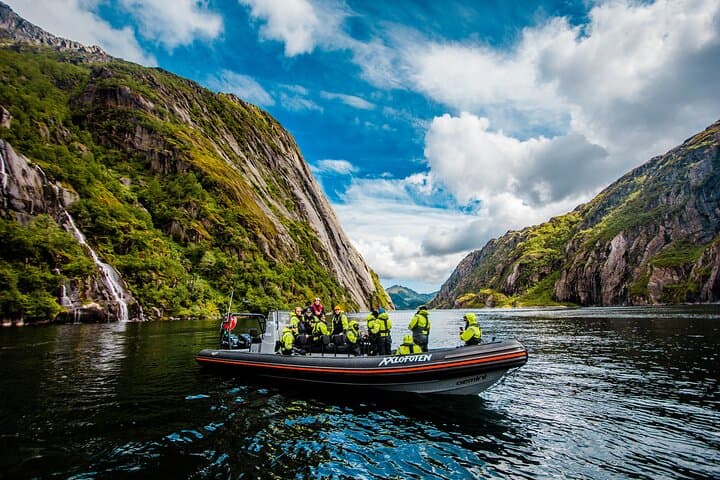 Sea Eagle Safari to Trollfjord: RIB Adventure from Svolvær photo 3