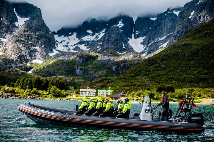 Sea Eagle Safari to Trollfjord: RIB Adventure from Svolvær photo 4