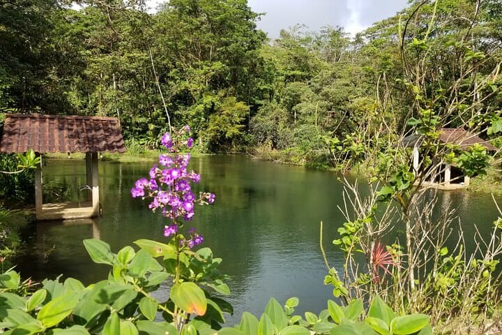 Guanacaste Bird-Watching: Private Wildlife Walk on a Costa Rica Estate photo 5
