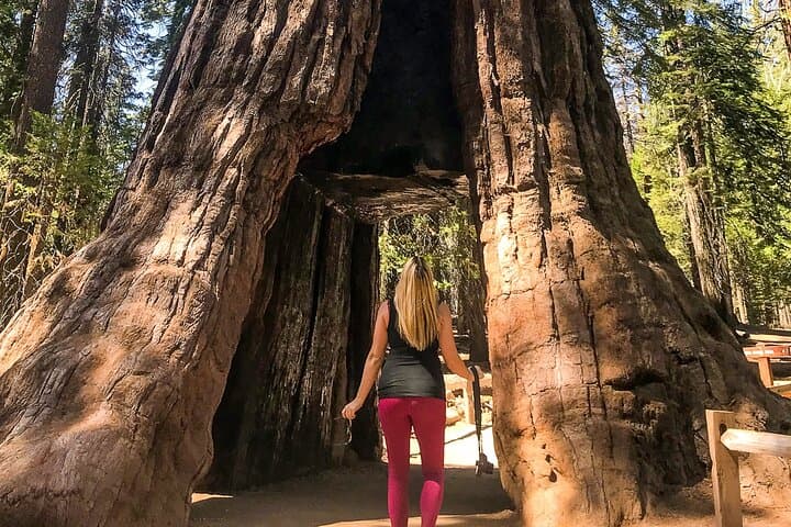 3-Day Yosemite Camping Adventure from San Francisco: Guided Camping, Hikes & Sequoias photo 2
