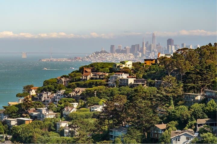 Muir Woods and Sausalito Half-Day Tour: Golden Gate Views, Coastal Redwoods & Ferry Options photo 6