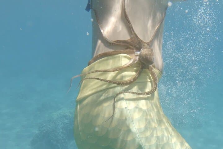 Kapalua Bay Sea Scooter Snorkel Tour — Private Guided Eco Tour in Maui photo 3