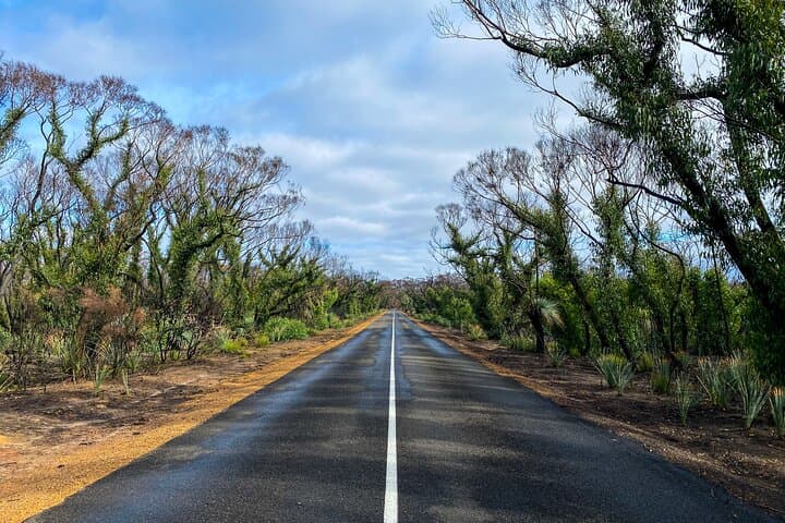 Two-Day Kangaroo Island Wildlife & Wonders Tour with Return Ferry photo 6