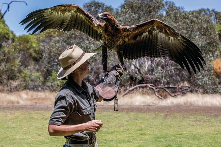 Kangaroo Island Sip & See Day Tour — Ferry from Adelaide to Wildlife, Wineries & Local Producers photo 3