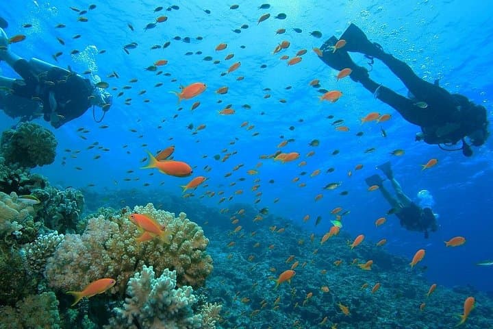 Cairo Nile Cruise and Hurghada: 11-Day Nile Temples & Red Sea Escape photo 3
