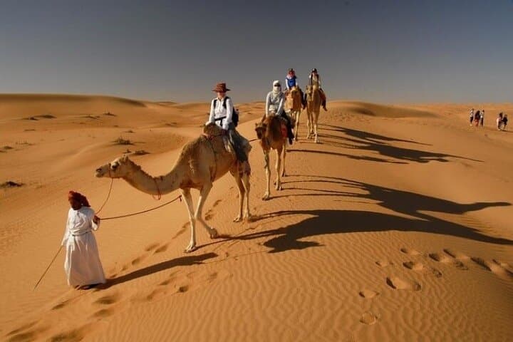 Dubai Desert Safari: 4x4 Dune Bashing, Camel Ride & BBQ Evening photo 6