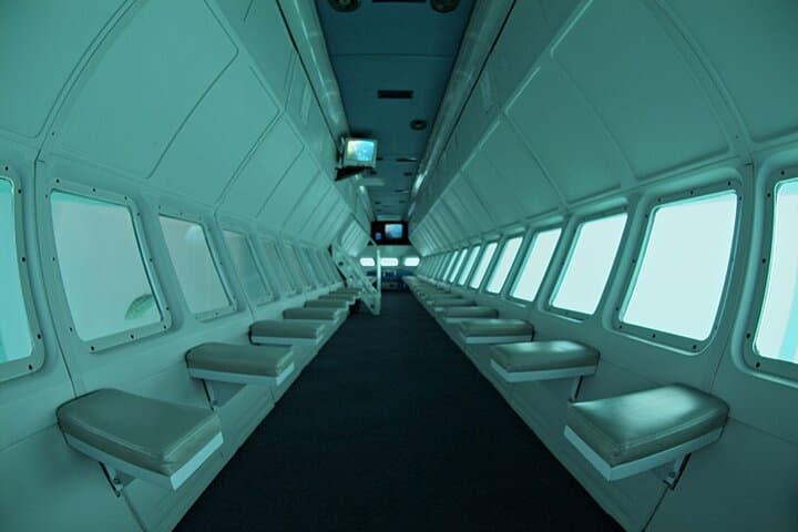 Catalina Island Day Trip from LAX with Undersea Adventure photo 5