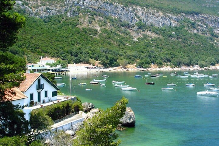 Explore Arrábida Natural Park & Sesimbra: Coastal Cliffs, Bays & Dolphins from Lisbon