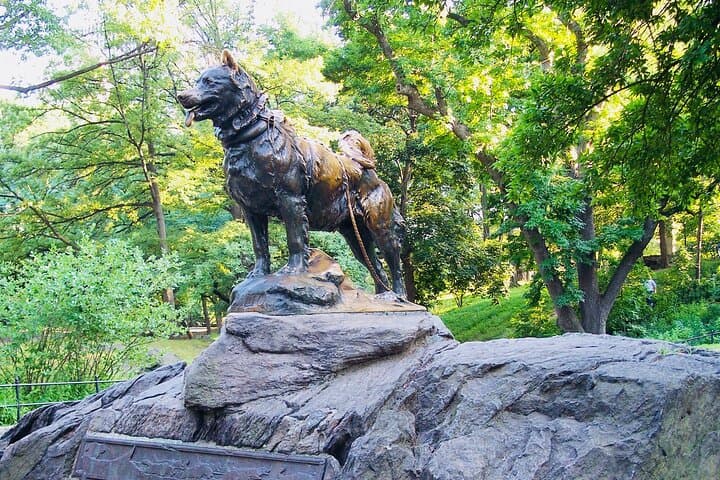 Central Park Pedicab Tour: Private 1–2 Hour Guided Rides Through Manhattan's Green Heart photo 6