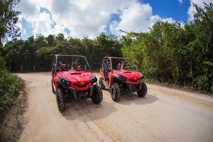 Riviera Maya Jungle Buggy and Cenote Swim Adventure from Playa del Carmen photo 2