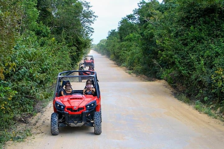 Riviera Maya Jungle Buggy and Cenote Swim Adventure from Playa del Carmen photo 4