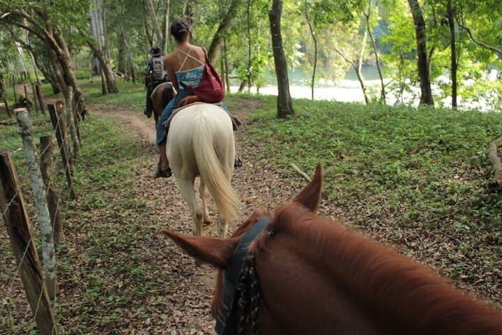 Horseback Ride to Xunantunich Maya Ruins — River Ferry, Rainforest & Ancient Temples photo 5