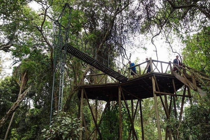 Ngare Ndare Forest Day Trip from Nairobi: Canopy Walk, Waterfall Swim & Wildlife Corridor photo 4