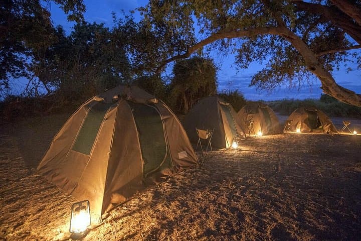 3-Day Chobe Safari From Victoria Falls: Boat Cruises, Game Drives & Camping
