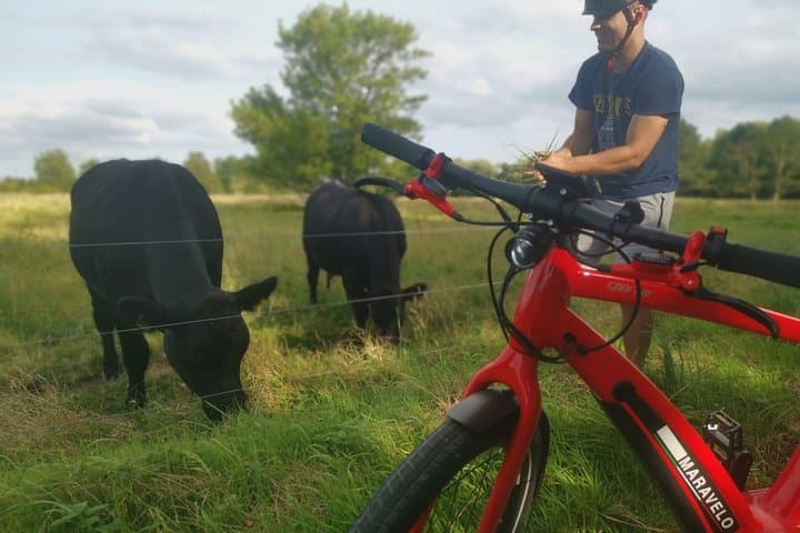 E-biking Copenhagen's Forgotten Giants: Thomas Dambo Sculpture Trail photo 3