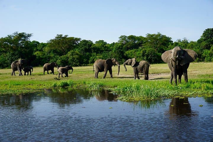Murchison Falls 3-Day Wildlife Safari: Boat Cruise, Game Drives & Falls Hike photo 3