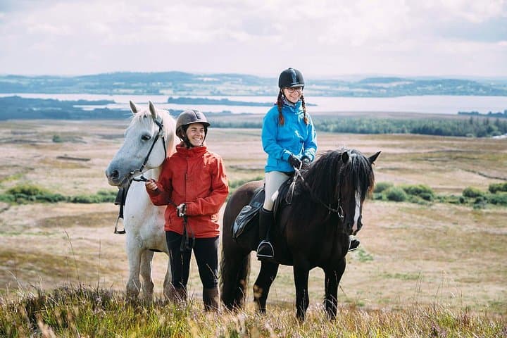 Beach and Countryside Horse Riding near Westport — 1-Hour Guided Ride on Clew Bay