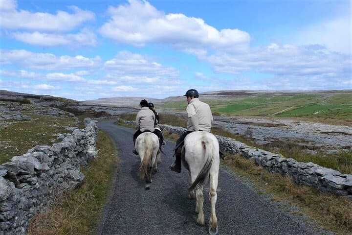 Dirt Trek Horse Ride — Lisdoonvarna Countryside & Cliffs of Moher Views photo 5